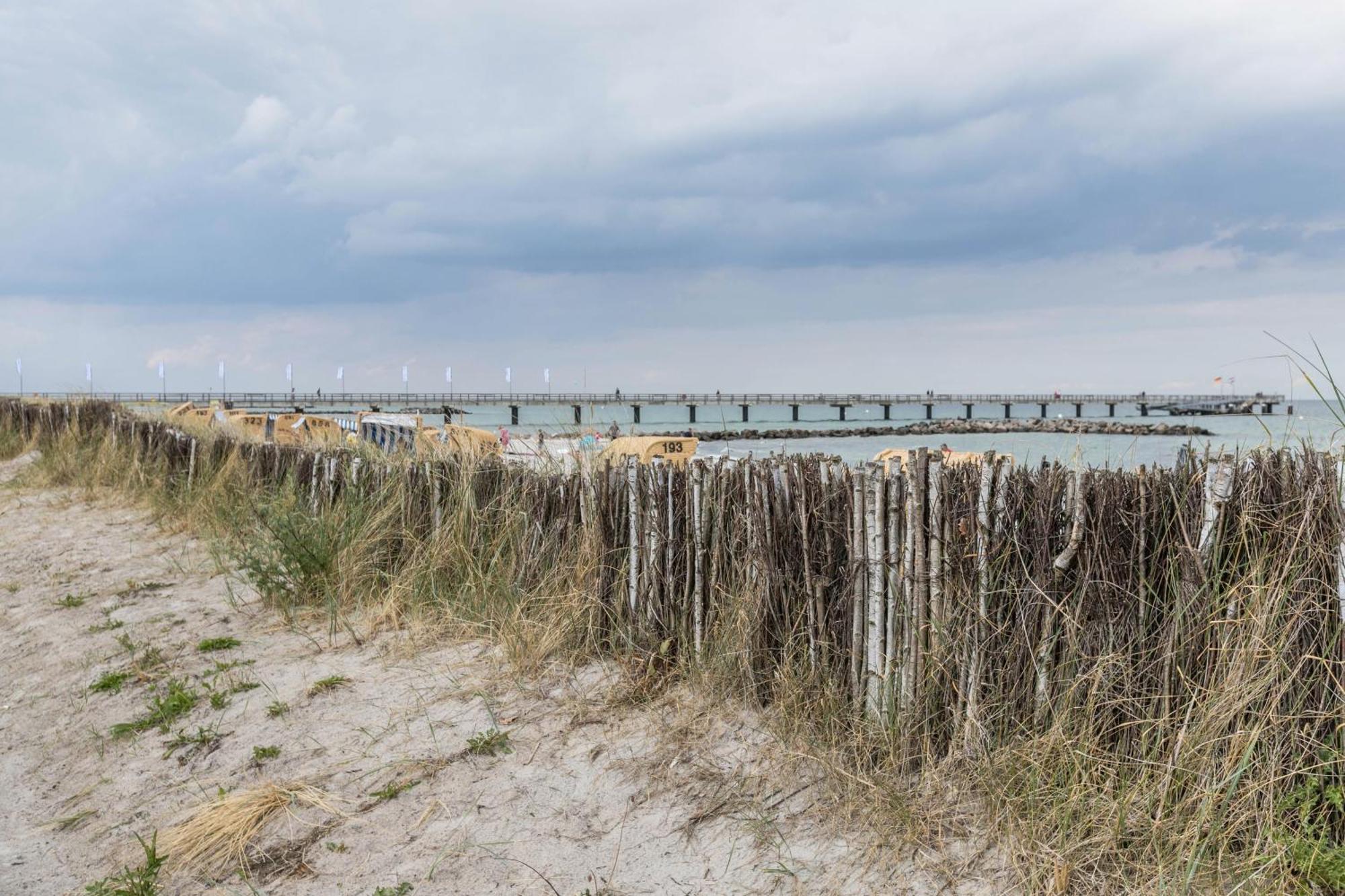 Treibholz - Feriendomizil Ostsee シェーンベルガー・シュトランド エクステリア 写真